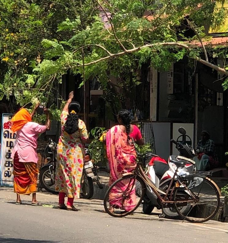 Trois Indiennes de dos dans leurs saris colorés