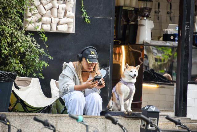 animaux de compagnie