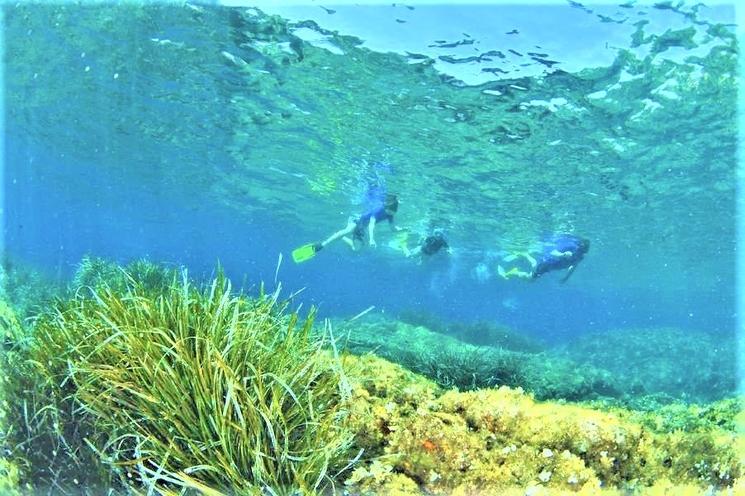 Le jardin des mattes