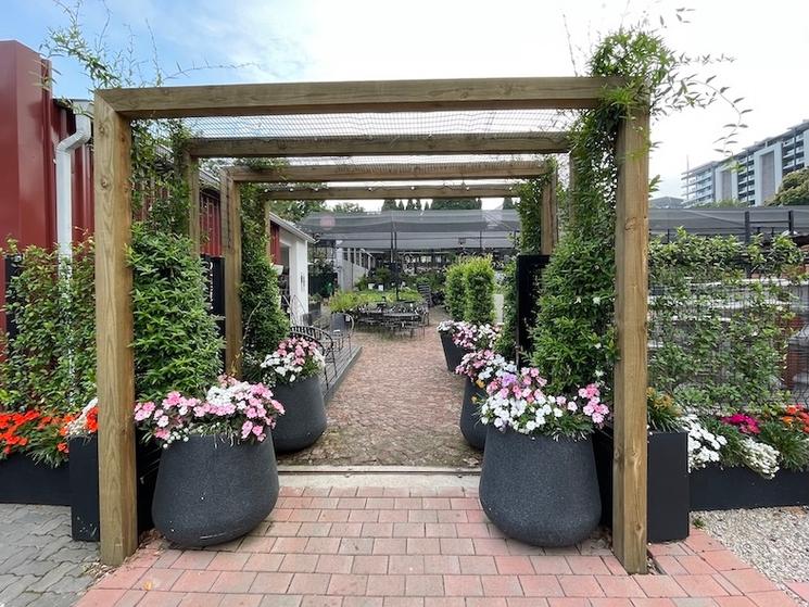 Pépinière à NINE YARDS - JOHANNESBURG