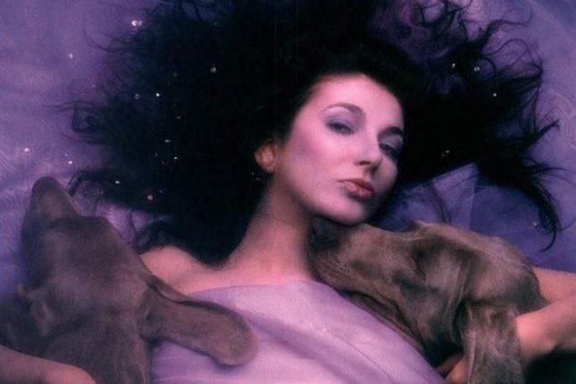 Kate Bush