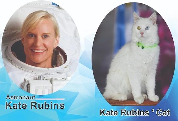 Concours NASA Kate Rubins lac de Van chat