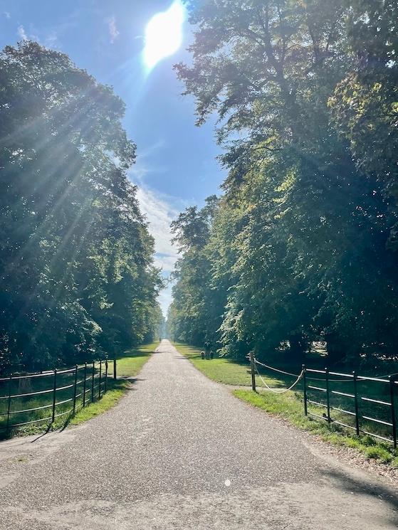 En longeant Kensington Gardens, Hyde Park