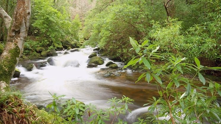 Kerry en Irlande