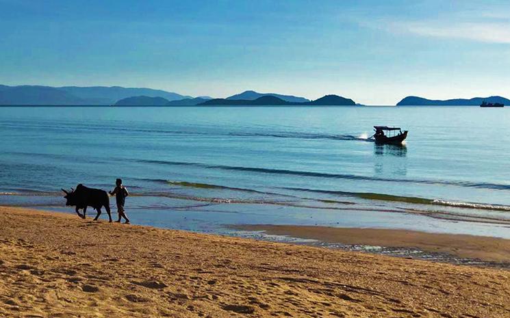 Un fermier mene son buffle sur la plage de Khanom dans le sud de la Thailande