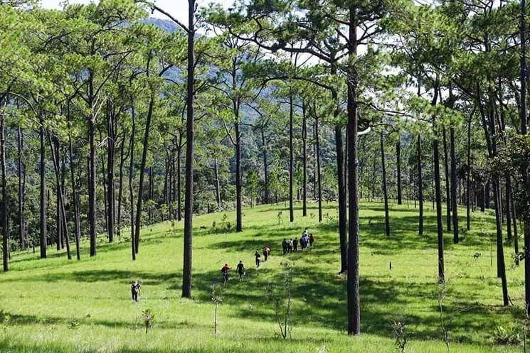 Khnorng Veal mountain peaks at 900 meters, at the border between Koh Kong and Kampong Speu provinces