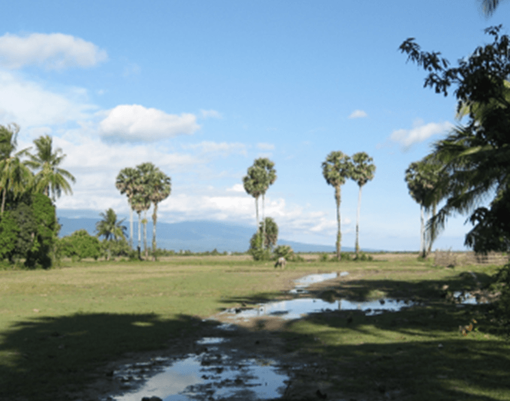 Marguerite duras au Cambodge