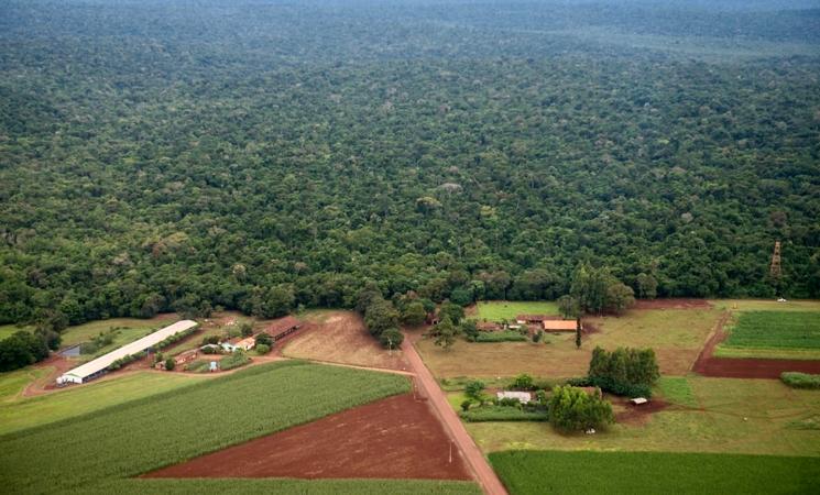 route du colon au parc national d'Iguaçu