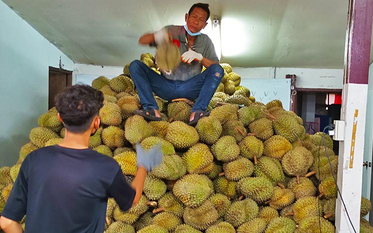 Un Thailandais lance un durian a son collegue dans un magasin de Chiang Mai