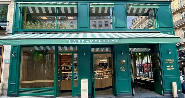 Land & Monkeys