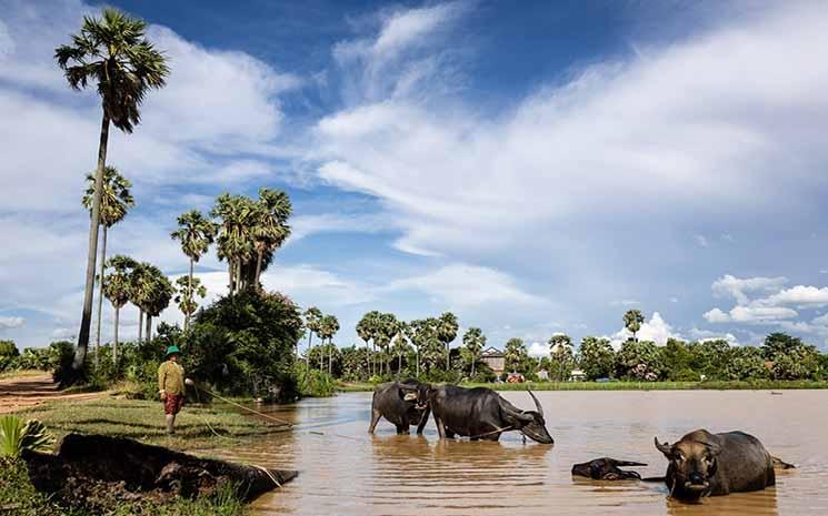 Le Cambodge hors des sentiers battus -