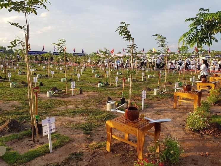  Le roi du Cambodge Norodom Sihamoni soutient la journée nationale du reboisement