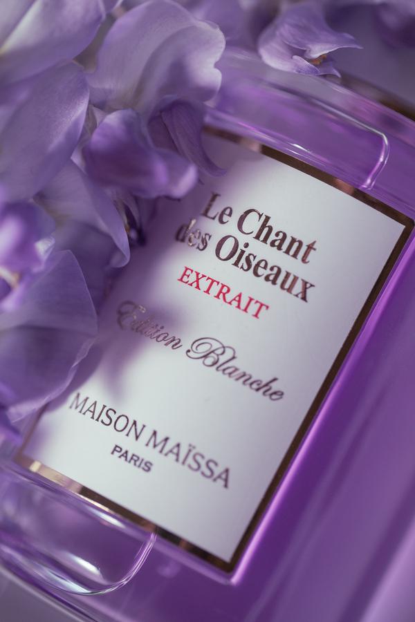 chant des oiseaux