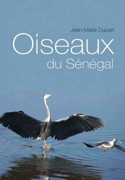Oiseaux du Sénégal