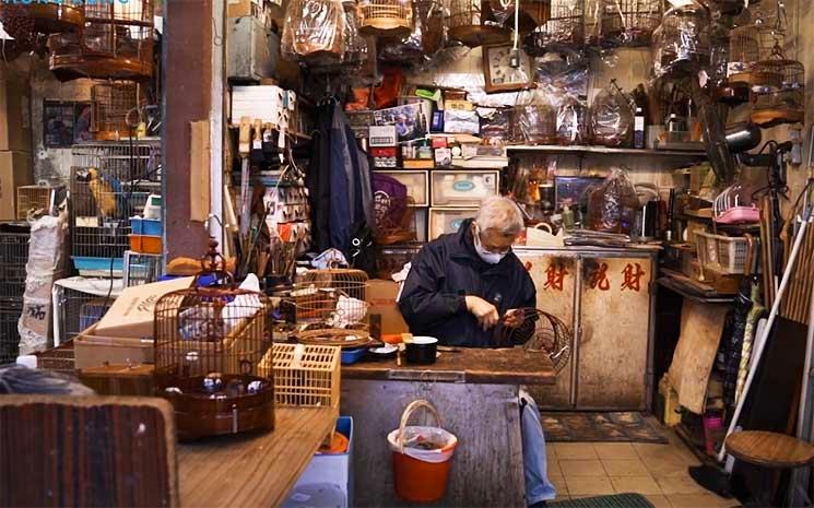 fabricant de cages d'oiseaux à Hong Kong