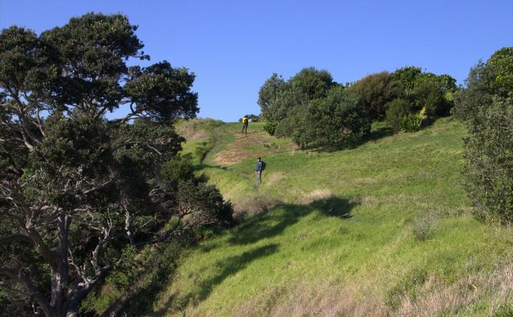 randonnée Waiheke Island Nouvelle-Zélande 