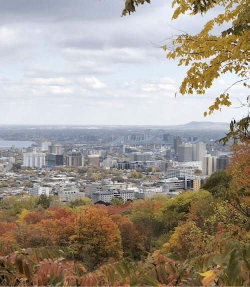 Montreal tourisme