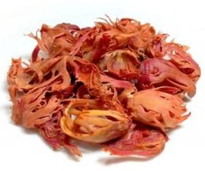 epices proprietes medicinales