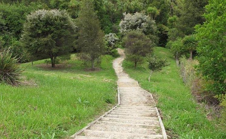 Mangemangeroa Kōwhai Path