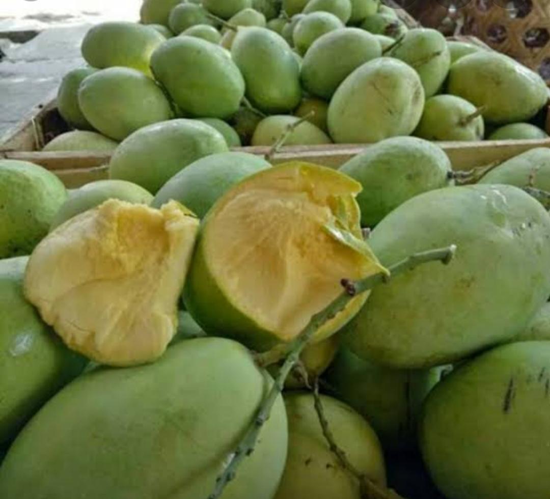 mangue manggga indramayu