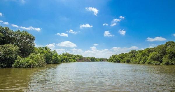 Mangrove Thane Airoli