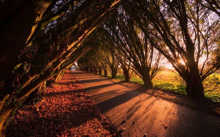 Maynooth University, Maynooth, Irlande