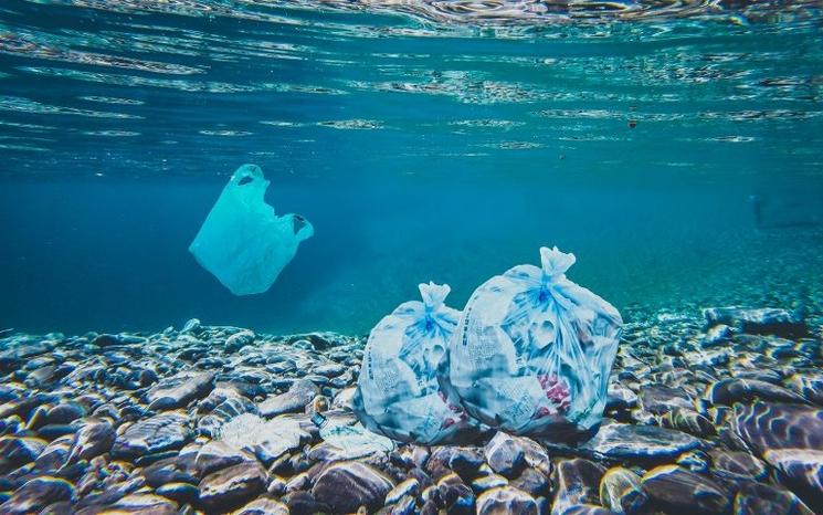 des plastiques dans l'eau de la méditerrannée