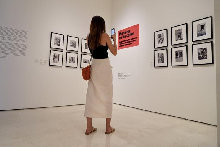 Memoria Museo Thyssen Malaga