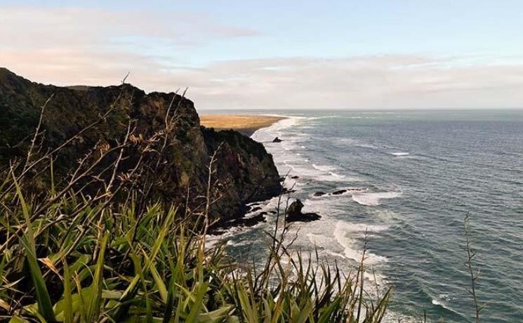 Mercer Bay Path