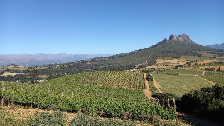 valley des vignobles de stellenbosch en Afrique du Sud