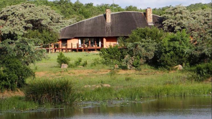 Metsi Lodge bush Sud Africain