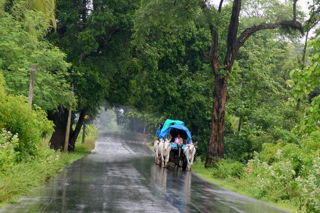 La mousson en inde, une route sous la pluie