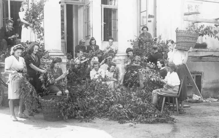 Mûriers palais de Zolwin Archive famille Prokopowicz