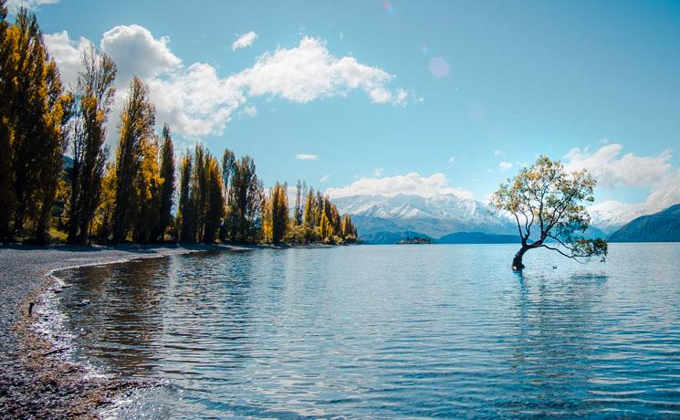 Lac Wanaka