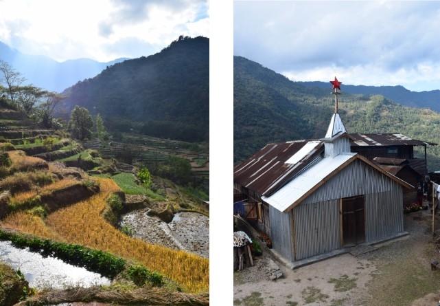 Cultures en terrasses du Nagaland au nord est de l'Inde