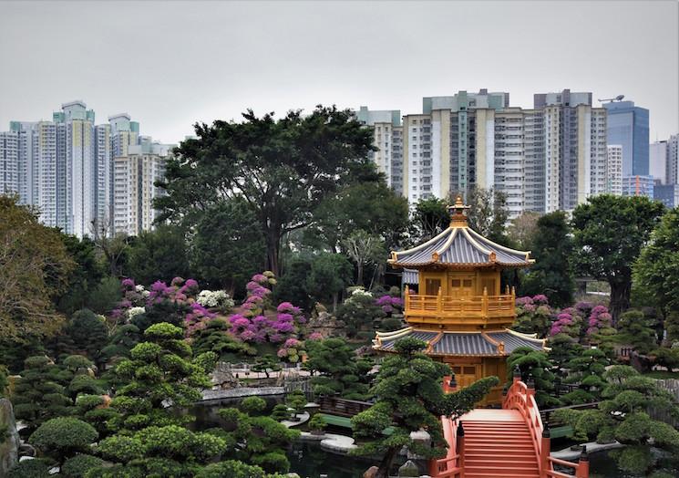 Visite Instagram Nan Lian Garden