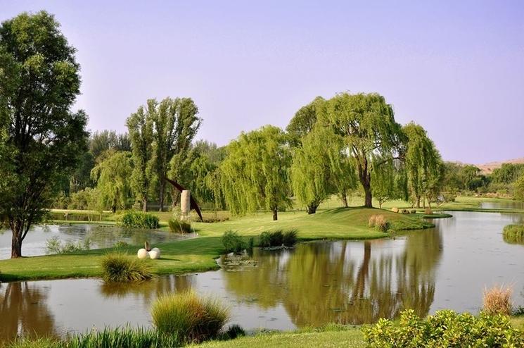 Paysage de nature au bord de l'eau