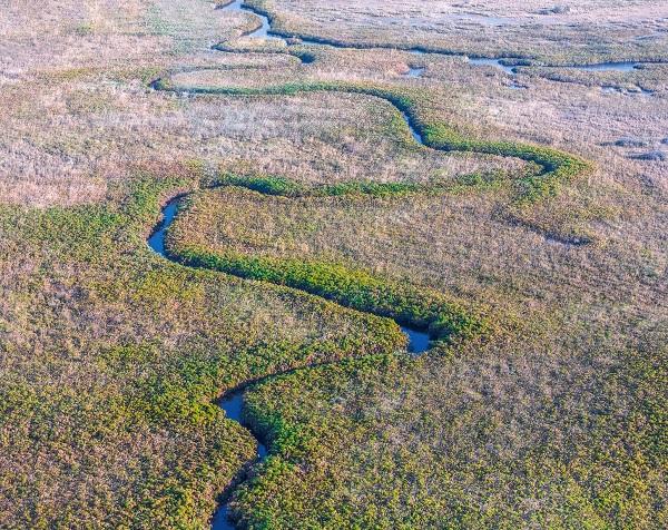 botswana, elephant, safari, tourisme, destination, voyages, afrique, chobe, kalahari, okawango