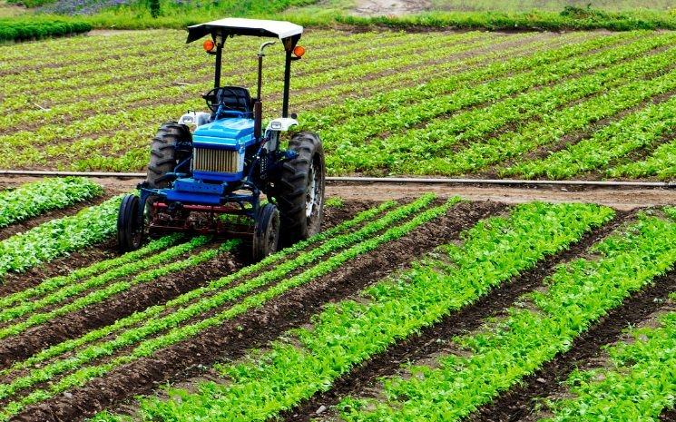 L'agriculture en péril en Océanie