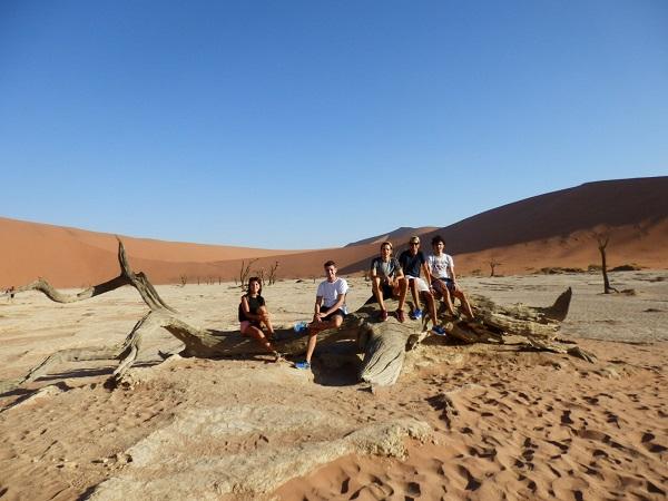 romain stanke, V.I.E, emploi, afrique du sud, petit journal, johannesburg, jeunes, entrepreneurs, carrières