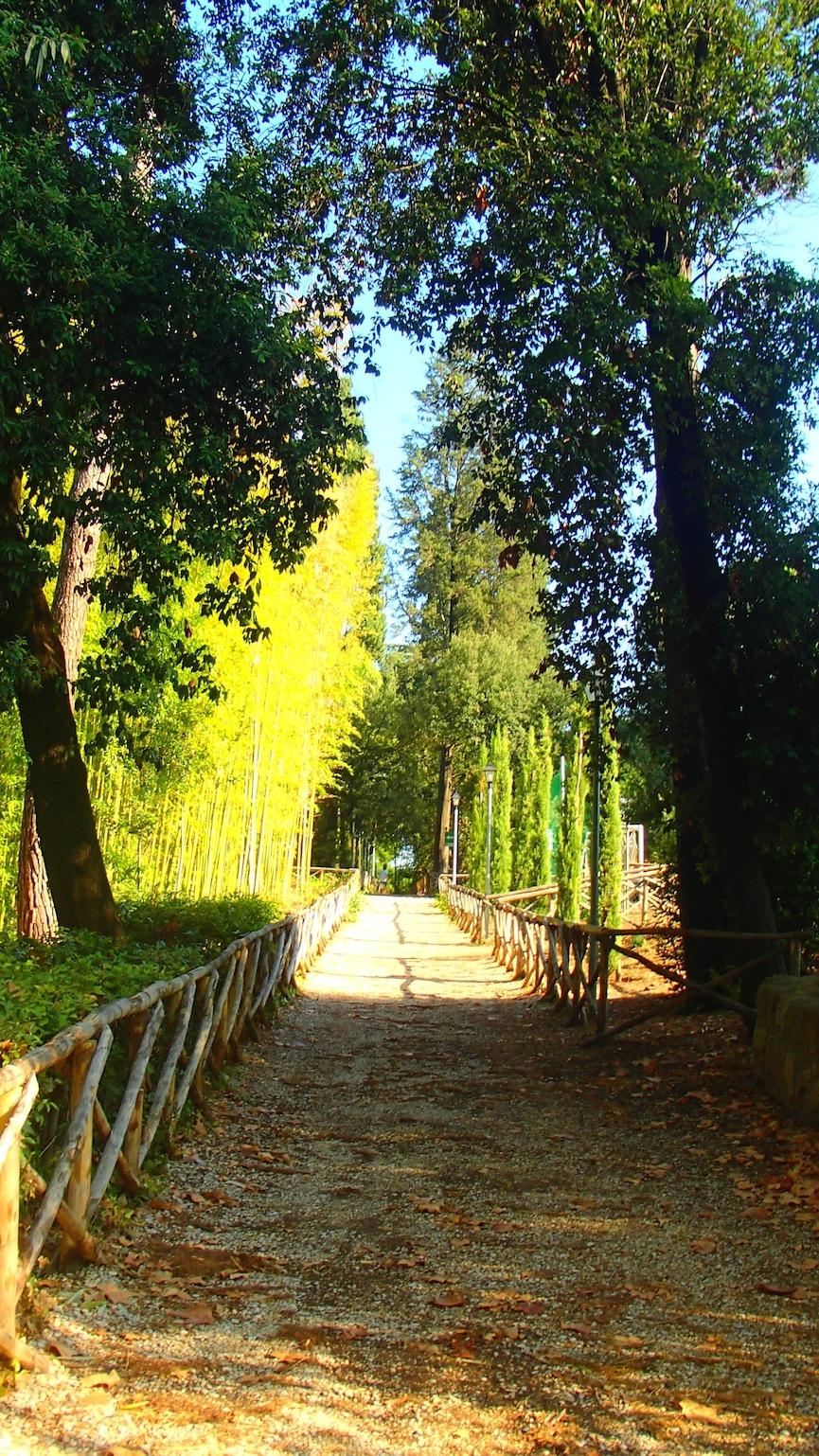 Parc de la Villa Strohl Fern