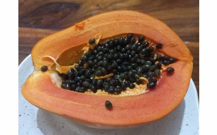 papaye