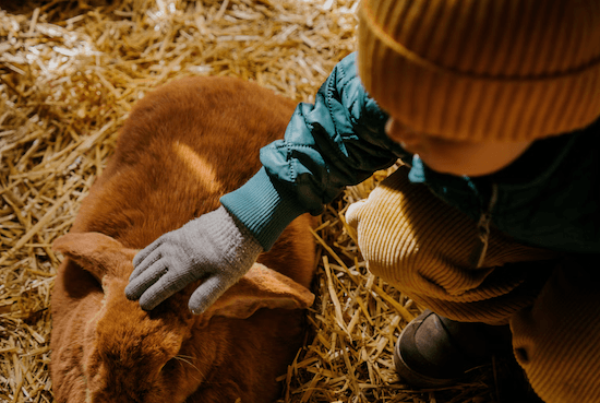 Pâques au Frilandsmuseet