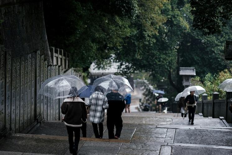 Parapluie transparents japon