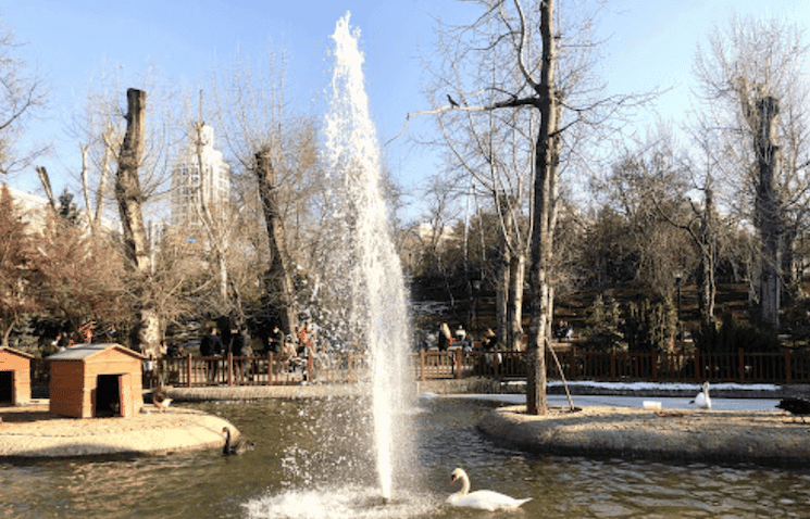 Parc Kuğulu Ankara Turquie