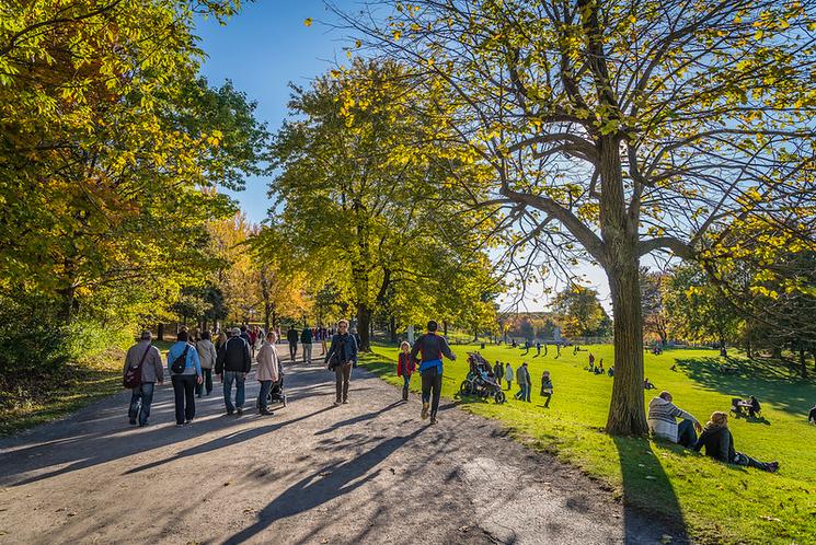 Parcs de Montréal l'été. 