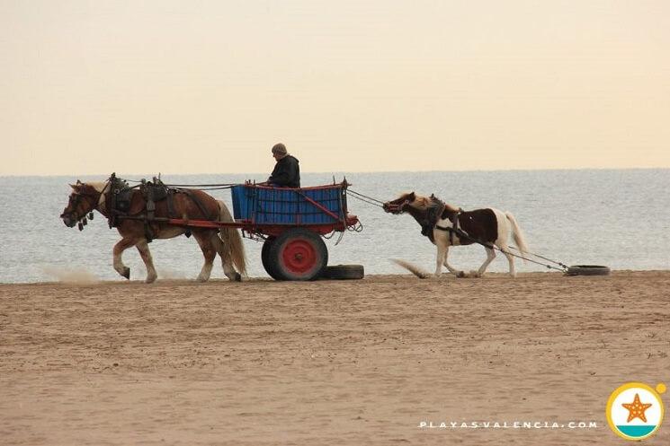 Le pitoresque se bouscule a deux pas de la mer