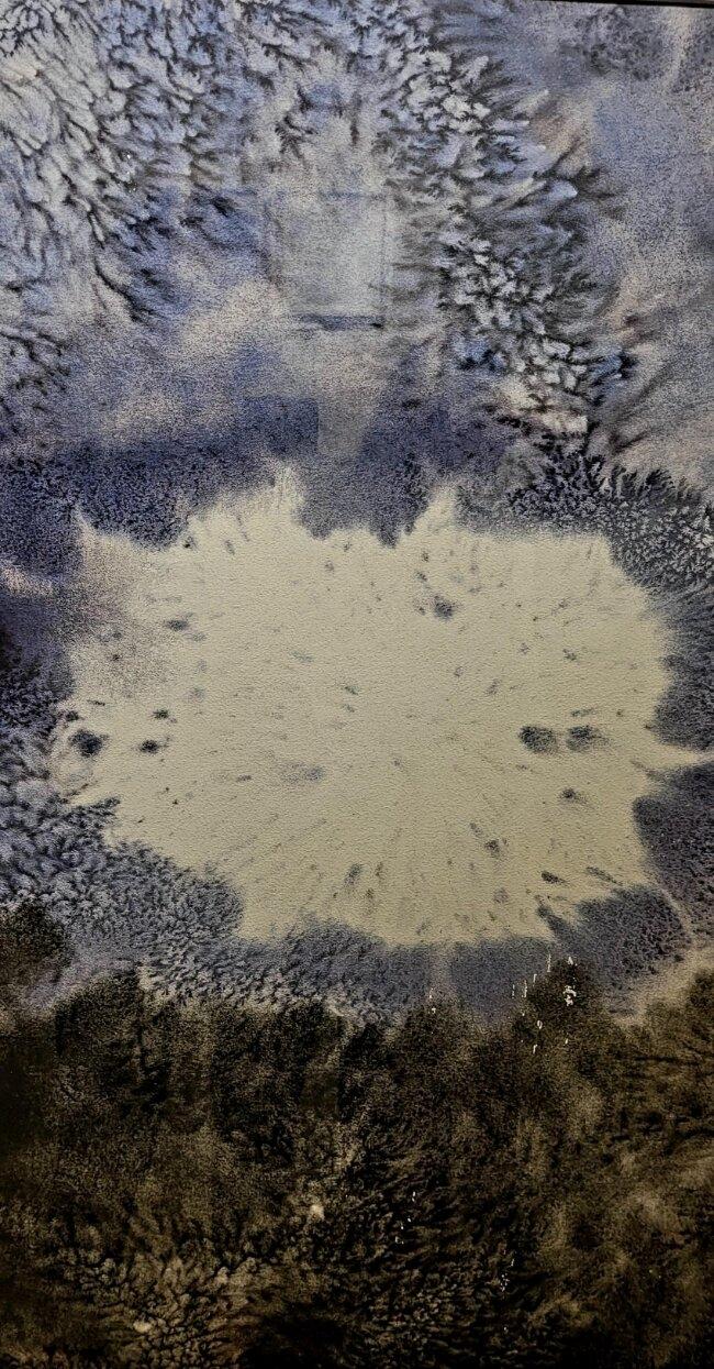 Oeuvre de la jeune artiste autriste Pavitra