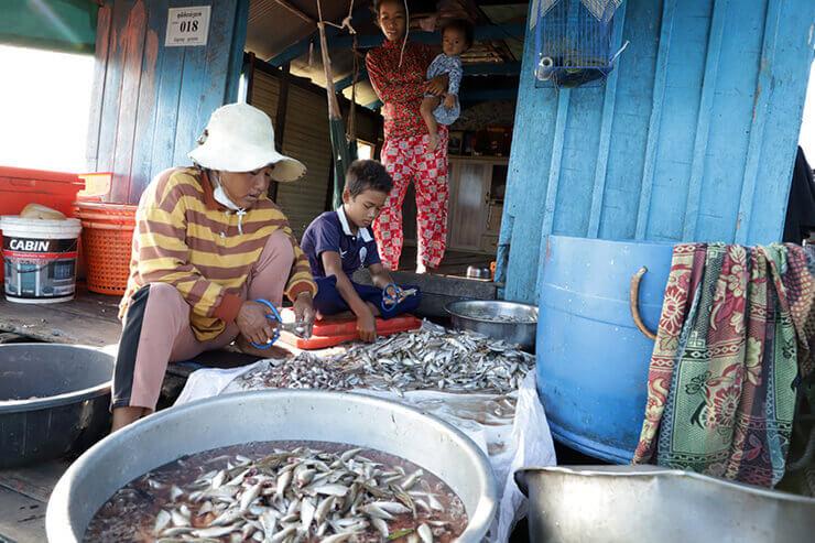 Peche sur le tonlé sap