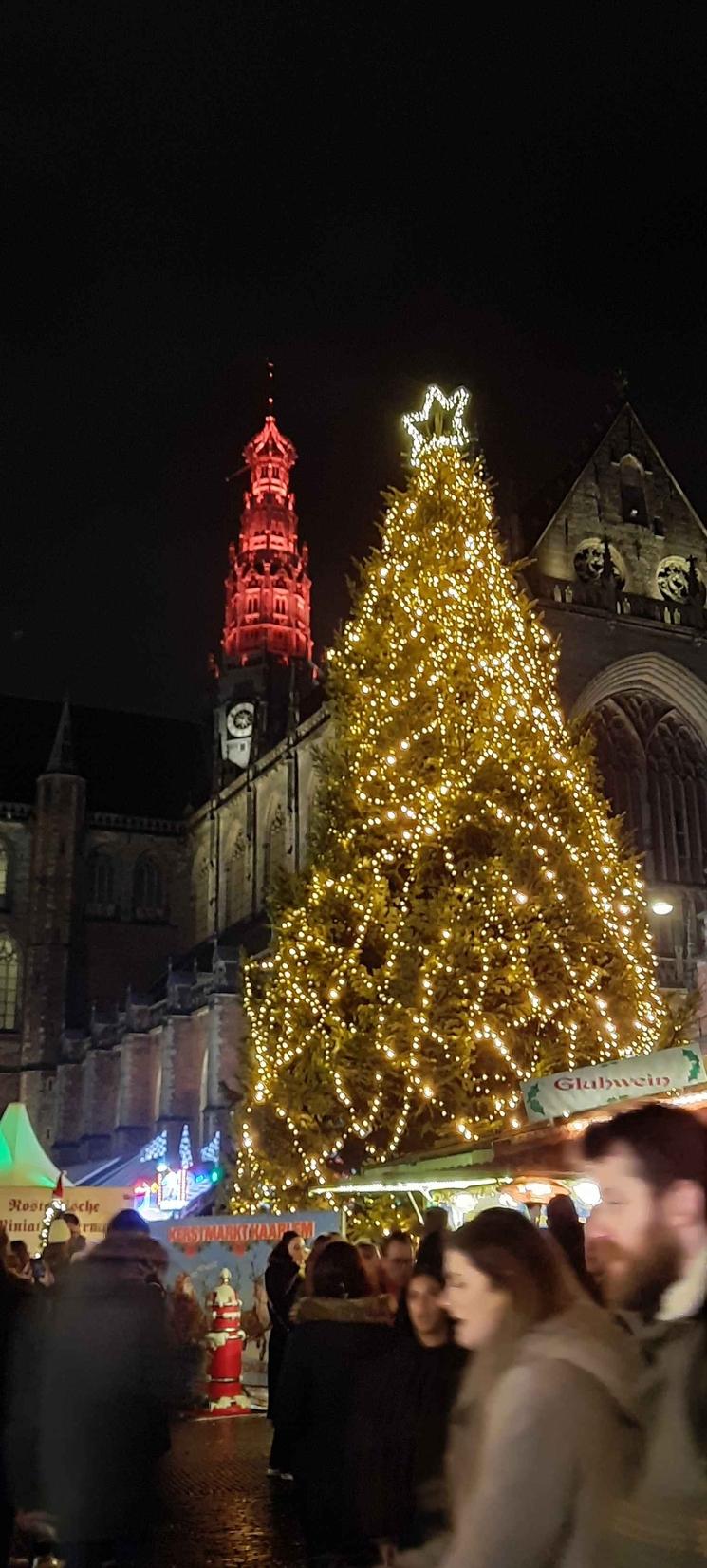  Le sapin de Noël à Haarlem, le jour du marché de Noël (Photo: V. Lacomme)